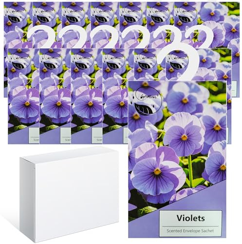 14PCS Saquitos Armario ambientador Lavanda, Perfumador Ropa, Ambientador Armario Ropa Limpia, Bolsa Guardarropa, Hogar Saquitos Armario Ropa, Bolsita Refrescador para Coche, Zapatero (Violeta)