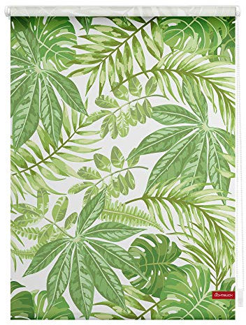 Lichtblick Klemmfix Verdunklungs-Rollo mit Motiv, ohne Bohren, Blickdicht, Seitenzugrollo, Made in Germany, Blätter - Grün 80 cm x 150 cm (B x L)
