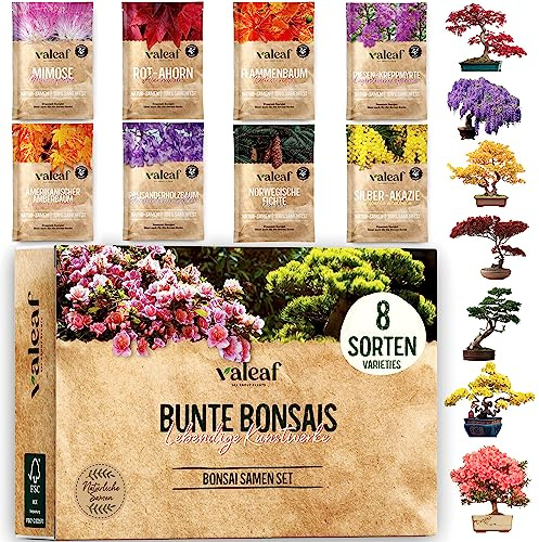 valeaf Bunte Bonsai Samen Set I 8 Sorten Bonsaisamen im Starter Kit I Mini Baum Set I BonsaiTree Pflanzen Samen im Bonsai Kit I Exotische Samen zur Bonsaizucht mit valeaf Samen