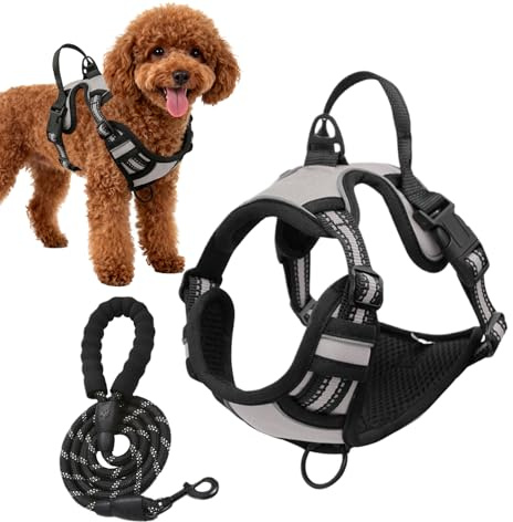 Hundsele, reflekterande tillbehör för hundpromenader | valpsele för promenader | för dagliga promenader, jogging, träning, vandring, camping, picknick, utomhusäventyr, parkbesök