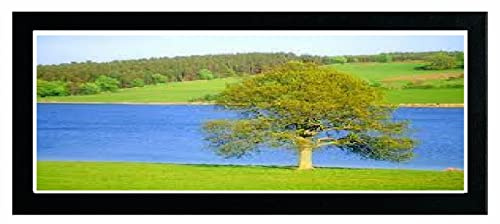 Modern Picture Photo Frame Acrylic Glass Wood Poster Frame Black 95cm x 35cm Wall Mounted Frames
