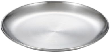 2 platos llanos de acero inoxidable 304, diámetro de 23 cm, vajilla redonda, paleta de metal, vajilla para decoración de mesa, camping, fiesta, barbacoa, postres, ensaladas, frutas, aperitivos, color