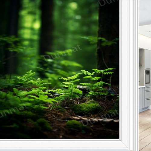 Modern Forest Buntglas Fensterfolie Grüne Farne Tropische Bäume Privatsphäre Fensterfolie Glastürabdeckung Nicht klebende Fensteraufkleber für Badezimmer Küche 90x160cm