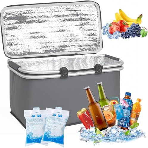 30L Faltbare Kühltasche mit 2 Eisakkus – Isolierte Thermotasche für Picknick, Camping, Einkaufen, Büro, Outdoor & Reisen – Wasserdicht, schmutzabweisend, verstärkter Boden -Grau