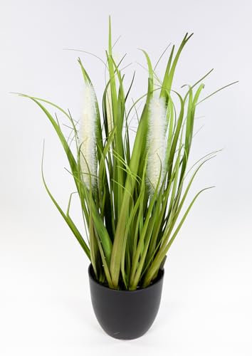 Seidenblumen Roß Fuchsschwanzgras Nature 40cm weiß im Topf DP Kunstpflanzen künstliches Gras Dekogras Kunstgras