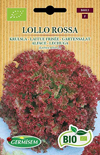 Germisem Biologico Lollo Rossa Semi di Insalata da Giardino 2 g