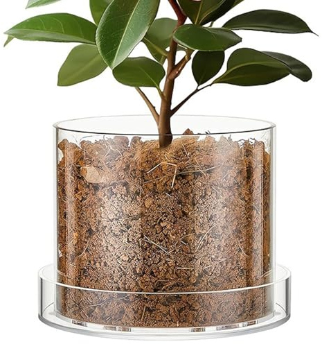 Wilafury Macetas Transparentes con Drenaje, macetero acrílico de raíz Desnuda de 6 Pulgadas con Orificios de Drenaje y Bandeja Antideslizante para Plantas de Interior, orquídeas y Hierbas