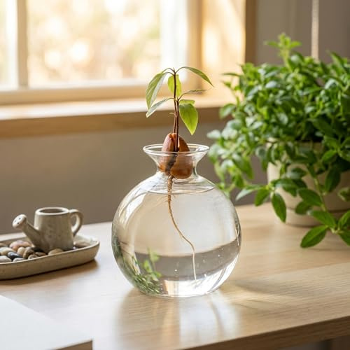Vaso per ghiande per piante, vaso idroponico trasparente per semi e bulbi di avocado, stazione di propagazione in vetro borosilicato alto 4, 72 pollici, decorazione per giardinaggio interno, decorazio