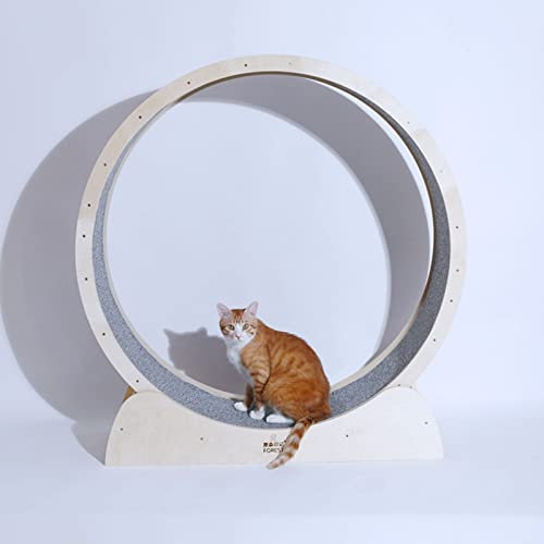 Katzenlaufrad Katzenlaufband, Haustierlaufband Riesenrad Haustiermöbel Katzenkratzbrett, Laufendes Spinnspielzeug für kleine/mittelgroße Haustierübungen im Innenbereich (Größe: 96 x 36,5 x 1
