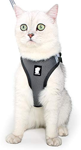 Katzengeschirr und Leine Ultraleicht für Fluchtschutz Verstellbarer weicher Netzschritt in gepolsterter Polsterung Laufweste Jacke für Kätzchen Haustiere Welpe