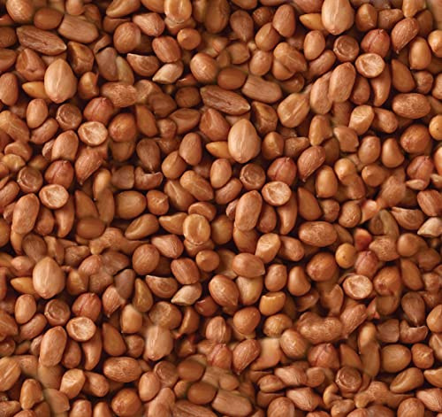 Peanuts for Wild Birds 25kg - High Energy Food, High Protein Feed, Rich in Fats and Fibre, Great for Hanging Feeders, Bird Tables and Ground Feeding, Bulk Bag - Buzzby's
