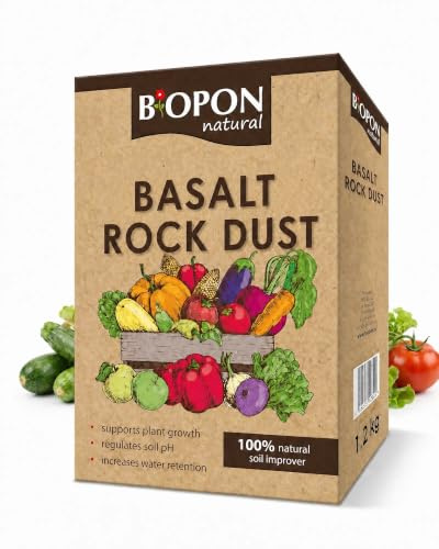 Basalt Rock Dust Soil Improver Mineral Powder for Plants 1 kg | Volcanic Rock, Supports Water Retention, Lawns & Vegetables, Easy Application, Reduces Soil Acidification