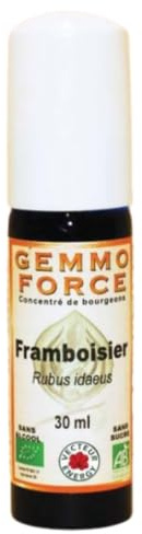 Gemmoforce Framboisier BIO sans alcool spray 30ml Vecteur Energy