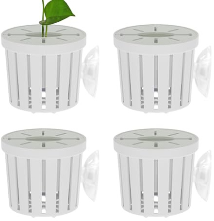 Supporto per piante da acquario,Decorazione con aspirazione stabile,Supporto per pothos per acquari casa nuovo compleanno e decorazione d'interni