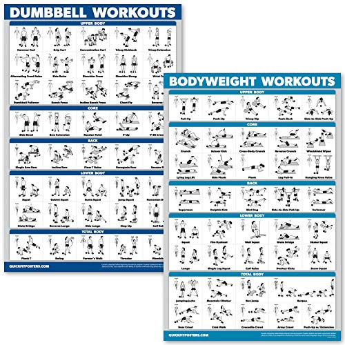 Palace Learning QUICKFIT Hanteltraining und Körpergewicht-Übungsposter, laminiert, 2 Diagramme, Hanteltraining, Routine und Körpergewicht, 45,7 x 68,6 cm