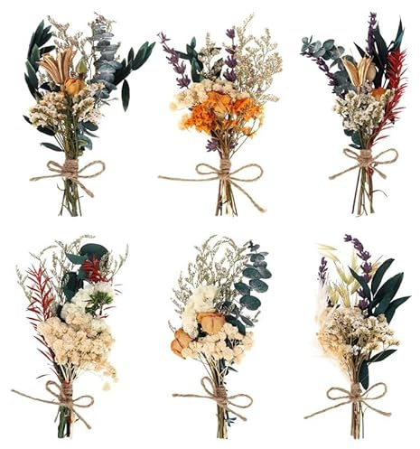 Xialvyu 6 Bündel Mini Trockenblumenstrauß, Klein Trockenblumen zum Basteln Boho, Natürliche Getrocknete Blumenstrauss Dried Flowers für Bilderrahmen Deko Geschenkverpackungen (Beige)