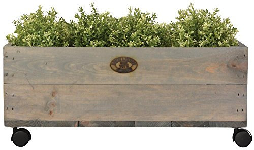 Esschert Design Jardinière sur roulettes M, 59 x 39 x 25 cm, en Bois, Taille M, avec 4 roulettes en Plastique, Caisse en Bois, boîte de Rangement