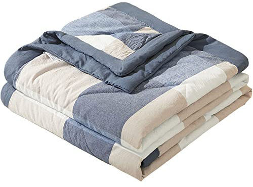 RRNAR Piumino Estivo Letto Matrimoniale Piumone Leggero Coperta Trapunta Sottile in 100% Cotone Lavato Anallergico, Lavabile in Lavatrice,B,200x230cm