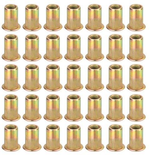 QUARKZMAN 60Pcs M6 x 15mm Ecrou A Rivet Acier Carbone Outil Ecrou A Rivet Quincaillerie Ecrous Zinc Coloré Insert Fileté Adapté pour Meubles, Industriel