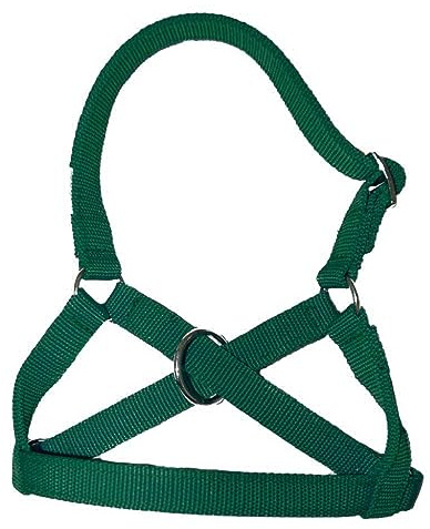 Brama West Alpaka Halfter in Allen Alpaka - Lama Größen, verstellbar, grün, Gr. 55