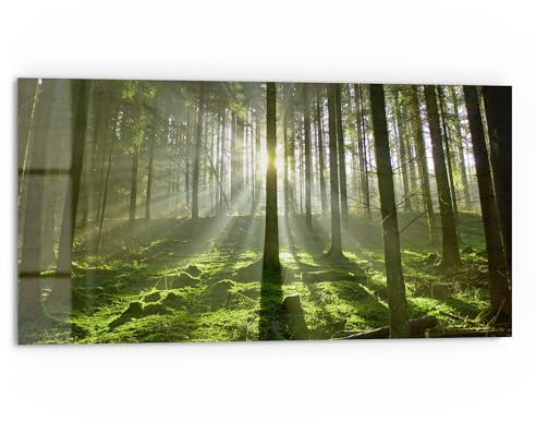 DEQORI Küchenrückwand Glas | Motiv Waldlichtspiele | 80x40 cm cm | Bad- oder Herd-Rückwand | Herdblende Spritzschutz für Küche & Badezimmer | moderne Deko für Fliesenspiegel