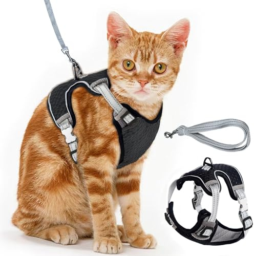 Brustgeschirr Cat, Verstellbares Katzengeschirr Ausbruchsicher Katzenleine Set, Verstellbar weich Kätzchenweste Katze Brustgeschirr mit Reflektierend Streifen & Atmungsaktiv Netzgewebe (Schwarz, S)