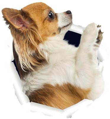Chihuahua Autoaufkleber, Lustige Hund 3D Durchbruch Aufkleber für Auto, Laptop, Kühlschrank, Wasserdicht Aufkleber (15cm/5.9 Inch)