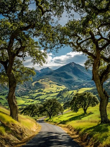 STYLER Leinwandbild Green Valley 60 x 80 cm – Malerisches Tal mit Berglandschaft – Natur pur und zeitlose Eleganz
