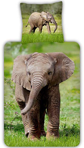 ESPiCO Bettwäsche Trendy Bedding Elefant Babyelefant Rüssel Bunt Safari Afrika Wildtier Tiermotiv Renforcé, Größe:135 cm x 200 cm