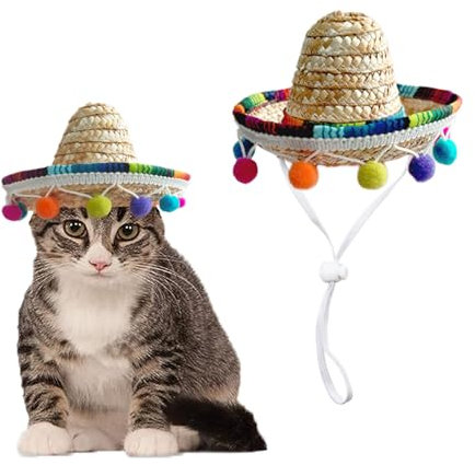 AWOCAN Sombrero für Katzen, Strohhut für Welpen und Kleine Hunde - Party/Geburtstag/Foto (Mehrfarbig)