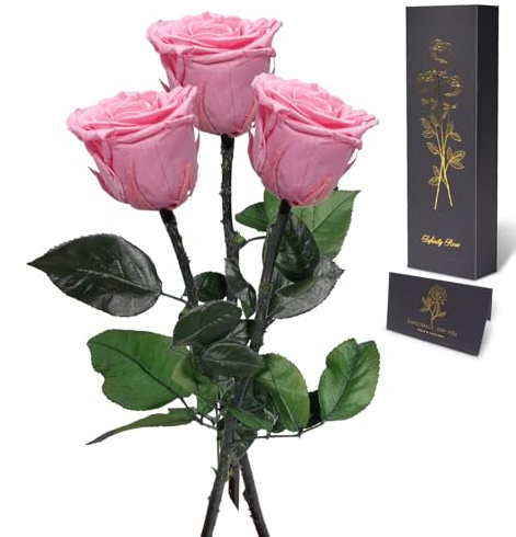 Yamonic Ewige Rose Geschenke für Frauen,Infinity Rose mit Stiel Geburtstagsgeschenk für Frauen, Echte Rose in Geschenkbox,Konservierte Blumen Geschenk Weihnachten Valentinstag Deko Geschenk, 3 Rosen