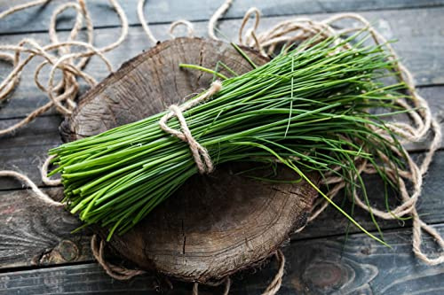 SeedsUP - 400+ Seeds Garlic Chives Onion - Vegetable Green