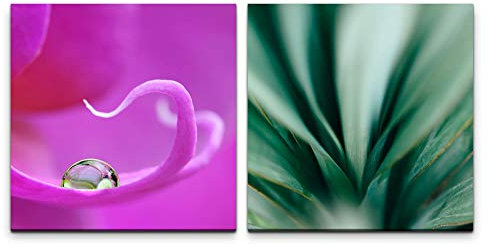 Paul Sinus Art Wandbild 2x60x60cm Orchidee schöne Blume Wasserperle Wassertropfen Grün Dekorativ Makrofotografie