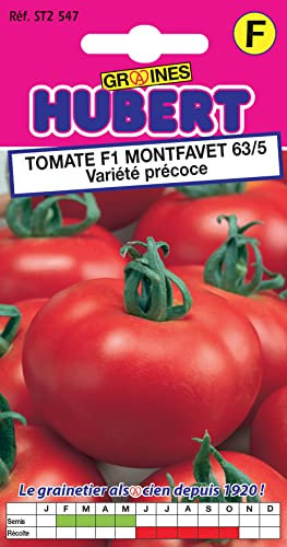 20 Graines de Tomate F1 Montfavet 63/5 Variété Précoce