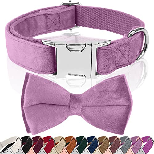 Asvin Hundehalsband Samtige, mit Abnehmbarer Hunde Fliege, Weich und Bequem Hunde Halsband, Mehrfarbig Samtige Hundehalsband, für Hochzeiten, Geburtstage, Partys usw