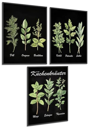 Donari Küchenbilder Kräuter Set - Küchen Bilder für Esszimmer Landhaus Stil - 3-er Set Bilder Wand Dekoration mit Kräutern mit und ohne Rahmen (Motiv 2, 30x40 cm | Schwarzer Holzrahmen, Gerahmt)