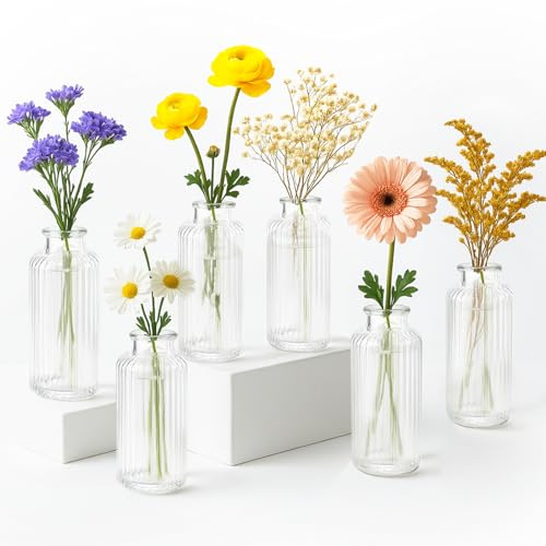 Toemics 6 Pack Mini Ribbed Glass Bud Vases Small Clear Vases for Flowers, Bulk Table Centerpieces for Wedding, Home Decor, Housewarming Gift