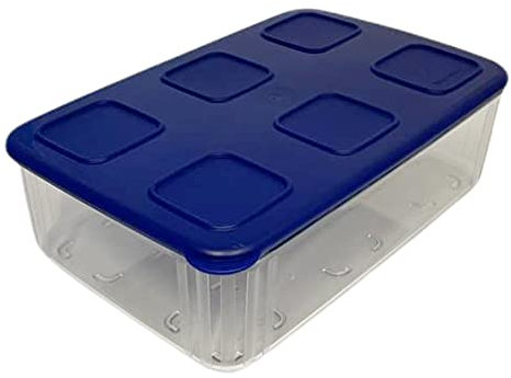 Tupperware Clear Mates, contenitore trasparente e fresco, 1,6 l, con coperchio, rettangolare, trasparente, blu scuro, facilmente impilabile, per conservare freschezza, per verdure, frutta, salsiccia o