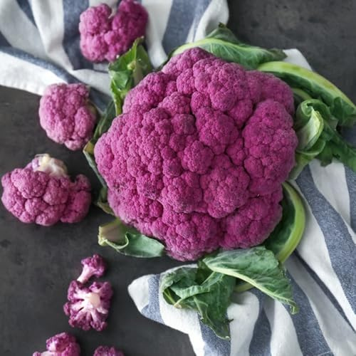 semillas de coliflor, raras semillas de coliflor resistentes para el jardín exóticas 300pcs
