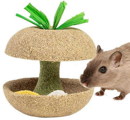 Gerbil Chew Toys Natural Teeth Care