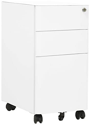 LAPOOH Aktenschrank mit Rollen, Stahlschrank, Aktenregal, Werkzeugschrank, Büroschrank, Lagerschrank, Ordnerschrank, Weiß 30x45x59 cm Stahl