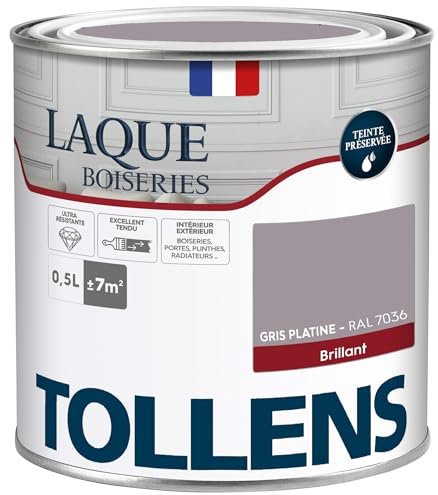 Tollens - Peinture, Laque, Ultra Résistante, Multisupport, Brillant, Gris Platine, 0.5L = 7m2