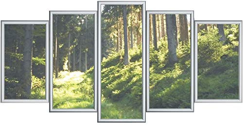 RAABEC Bilderrahmen für Polyptychon Malen nach Zahlen Bilder z.B. von Schipper, 5 Teile fertig montiert, Farbe Silber