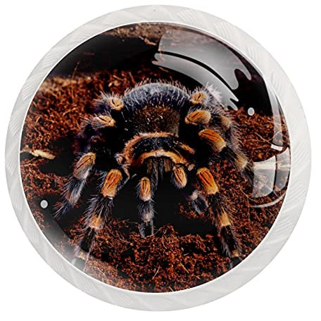 Set di 12 pomelli rotondi per cassettiera, armadietto, armadio, con viti, per armadio, decorazione per casa, ufficio, cameretta dei bambini