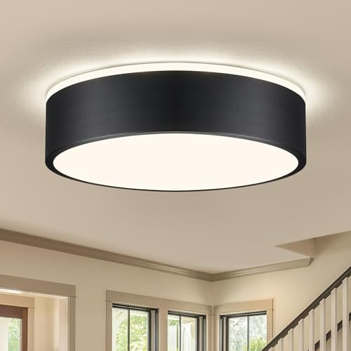 Vikaey Moderne Deckenlampe,LED Deckenleuchte Schwarzem Metall,4000K,24W Schlafzimmerleuchte Für Wohnzimmer,Küche,Bad,Korridor,Esszimmer,Lounge,Ø30 cm