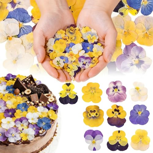 Celblisora 50 st 10 typer naturliga torkade pressade ätbara blommor för tårtdekoration – mix viol trefärgad för cupcake-dekorationer, cocktail, harts smyckestillverkning, gör-det-själv konsthantverk