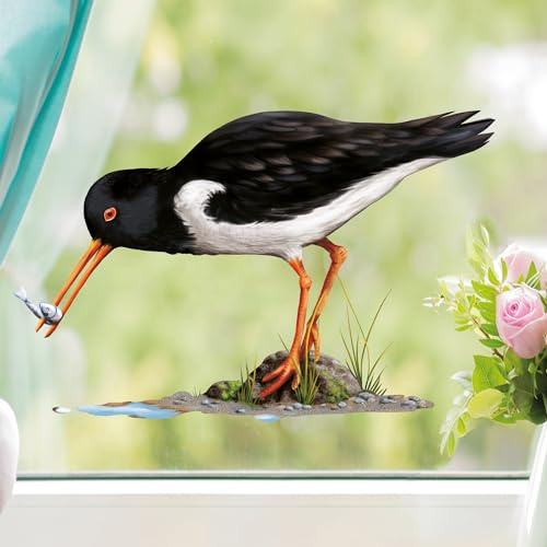 Fensterbild Frühling Austernfischer mit Fisch maritim Ostsee Nordsee Urlaub Fensterdeko Kinderzimmer Kind Osterdeko Frühlingsdeko Vögel, 1. A4 Bogen