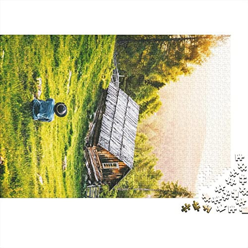 Landschaft Puzzle 1000 Teile,Geschicklichkeitsspiel Für Die Ganze Familie,Natur Erde Puzzles 1000 Teile,Farbenfrohes Holz Puzzle Für Erwachsene 1000pcs (75x50cm)