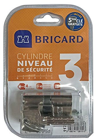 Bricard 11734 Cylindre débrayable 5 Clés Astral 2, 9 en Laiton Nickelé 10 Pistons, 2 entrées 30+40, Protection contre le perçage et Le Crochetage. Carte personnelle., Acier Nickelé, 70 = 30+40