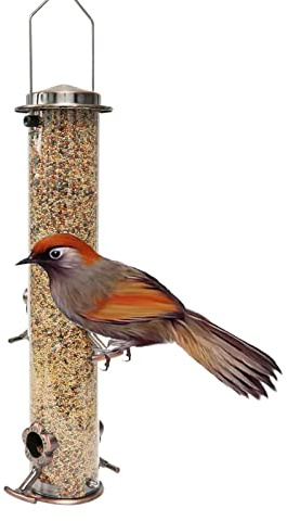 Wildvogelmacher – Rohrfresser aus Edelstahl mit Anschlüssen in Form von | Transparentes Vogelfutterhaus für Terrassen, Gärten und Balkone, zum Aufhängen im Freien